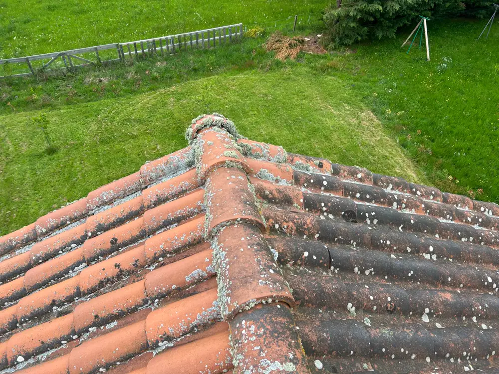 Chantier de démoussage de toiture à Monistrol-sur-Loire